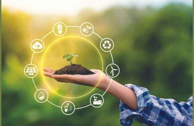 The Impact of Environmental Factors on Respiratory Health