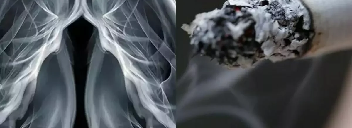 How Smoking Damages Your Lungs