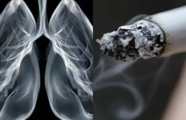 How Smoking Damages Your Lungs