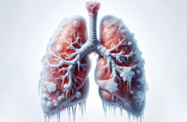 Winter-to-Summer Transition and Lung Health Why February Is a Critical Month for Respiratory Care